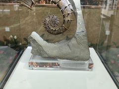 -湖南省地质博物馆