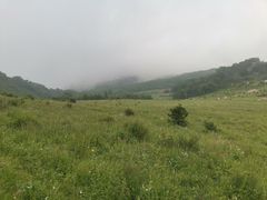 -白草畔自然风景区