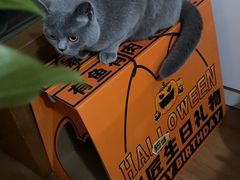 -烤匠麻辣烤鱼(万象城店)