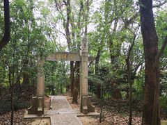 -上海佘山国家森林公园天马山园