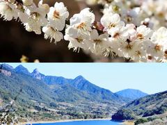 -广州市流溪河国家森林公园