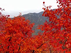 -周口店坡峰岭风景区