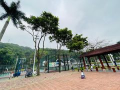 -板樟山森林公园