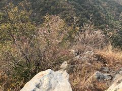 -北京鹫峰国家森林公园
