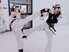 -极真空手道修远道场