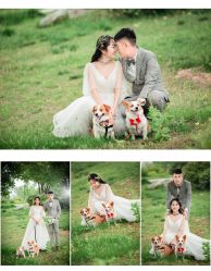 -二十一世纪婚纱摄影(省府前街店)