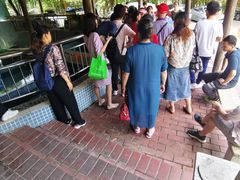 -鲤鱼塘农家山庄