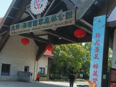 -上海海湾国家森林公园