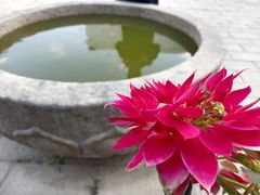 -乌山风景区