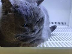 -沐沐家宠物(成寿寺店)