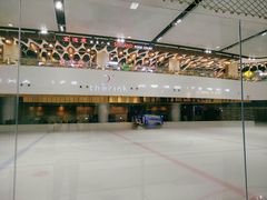 -TheRink大零溜冰场(IFS国金中心店)