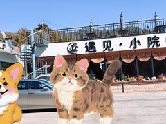 -遇见小院·长思缘农家院(怀柔店)