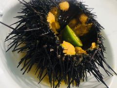 -南山酒肆(南山董事绘店)