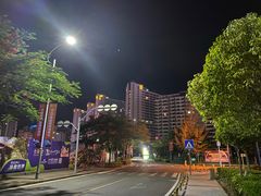 -天后宫民俗文化街