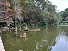 -深圳仙湖植物园