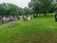 -北京京卫宠物寄养训练中心