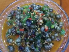 -全乐鱼馆·淳牌有机鱼直营店