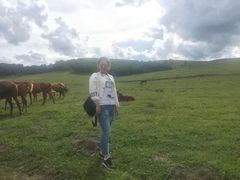 -塞罕坝国家级自然保护区