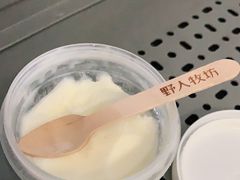 清凉海岸椰子冰淇淋-野人先生现做冰淇淋(北京环宇荟店)