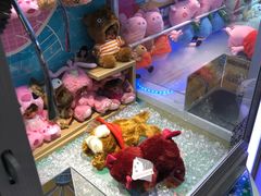 -PAWTOY爪e玩偶店(天兴罗斯福店)