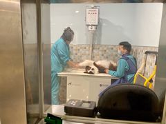 -骐奇宠物诊疗中心(南亭公路店)