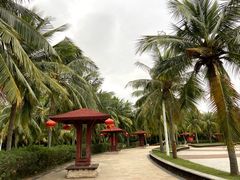 -白沙门生态公园