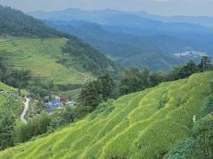 -紫鹊界梯田景区