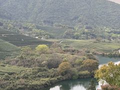 -龙坞茶村