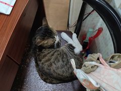 -玉椰林甜品店(创始店)