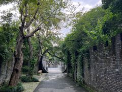 -朴园