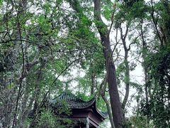 -岳麓山风景名胜区