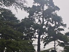 -青岛德国总督楼旧址博物馆