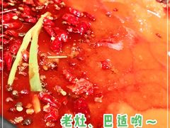 -杨家火锅(国美店)