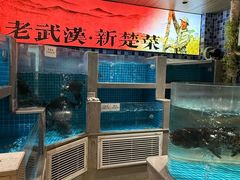 -俏立方·15年新楚菜
