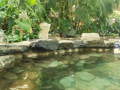 -中家鑫园温泉酒店鑫悦汤泉