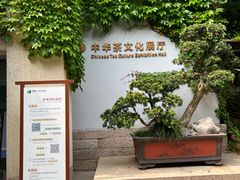 -中国茶叶博物馆(双峰馆区)