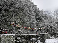 -西岭雪山大飞水景区