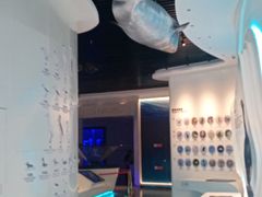 -大连市规划展示中心