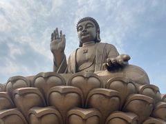 -龙口南山旅游景区