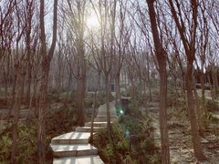 -南翠屏公园