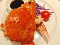 -洛阳国际大酒店-香榭丽舍西餐厅