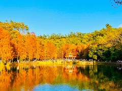 -深圳仙湖植物园
