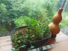 包房-庆余楼·用心与食材·特色菜&灶头面(仙蠡墩店)