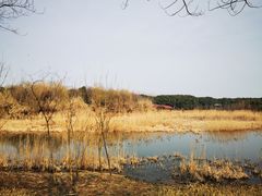 -同里国家湿地公园