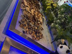 -春华海鲜城(广场西苑店)