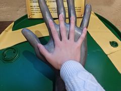 -信不信由你博物馆