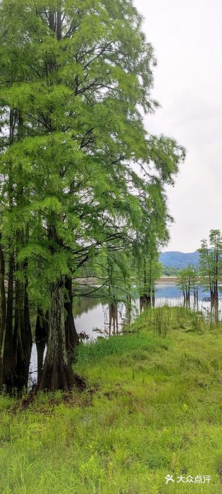九真山风景区图片