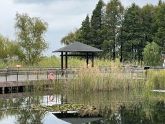 -苏州太湖湖滨国家湿地公园