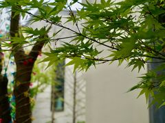 -雅达·阳羡溪山小镇中心