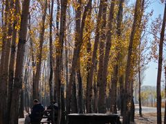 -野鸭湖国家湿地公园